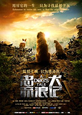 电影：忠犬流浪记