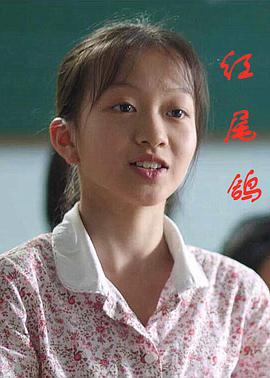 电影：红尾鸽