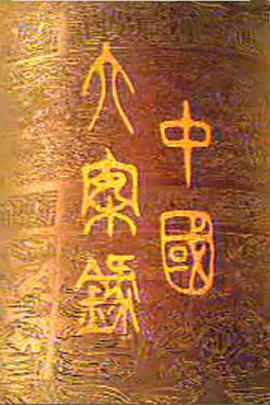 电影：中国大案录