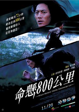 电影:命悬800公里