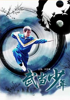 电影：武当少年