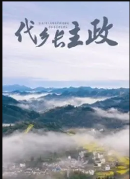 电影：代乡长主政