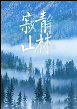 电影:寂静山林