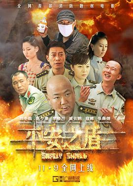电影：平安之盾
