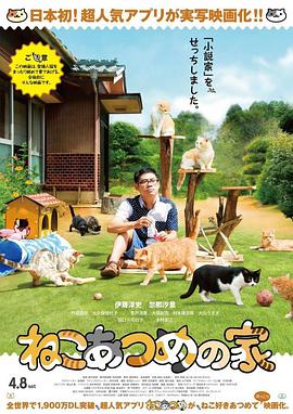 电影:猫咪后院之家