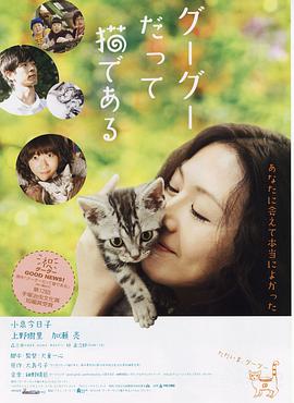 电影:咕咕是一只猫