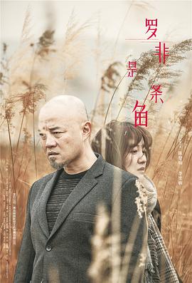 电影：罗非是条鱼