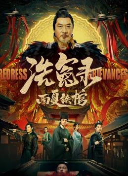 电影：洗冤录之西夏铁棺