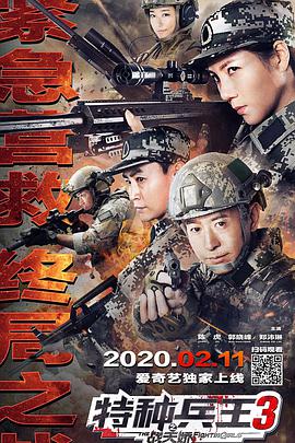 电影:特种兵王3战天娇