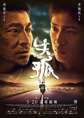 电影:失孤