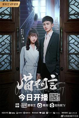 电影:喵不可言