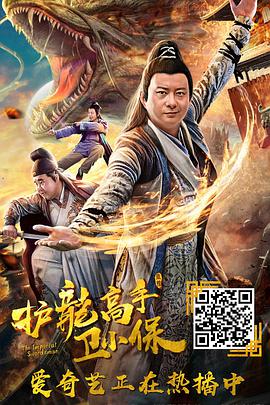 电影：护龙高手卫小保