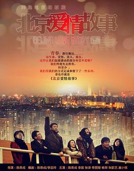 电影：北京爱情故事(2012)