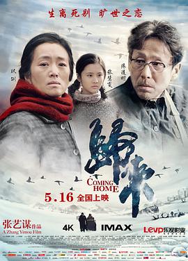 电影:归来