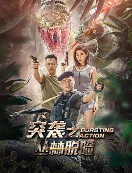 电影:突袭之丛林脱险