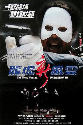 电影:龙虎新风云