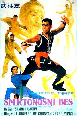 电影:武林志
