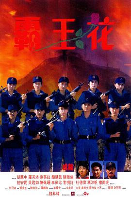 电影:霸王花