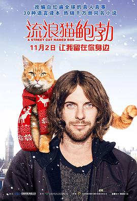 电影：流浪猫鲍勃