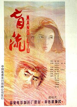电影：盲流