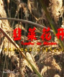 电影：韭菜花开