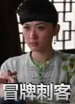 电影:冒牌刺客