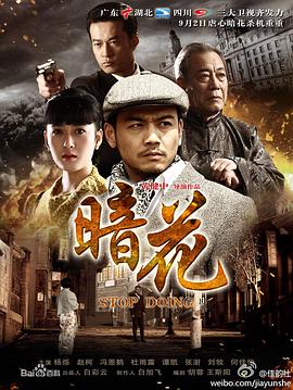 电影：暗花[电视剧版]