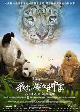 电影:我们诞生在中国