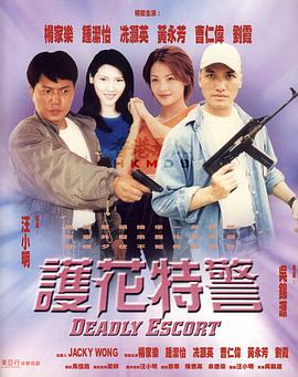 电影:护花特警