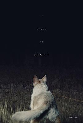 电影:黑夜造访