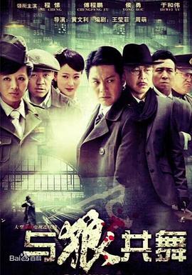 电影：与狼共舞(2012)