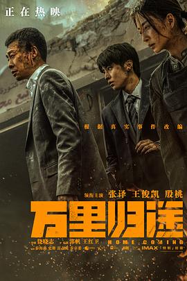 电影：万里归途