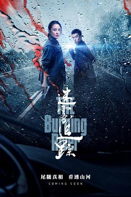 电影:迷雾追踪