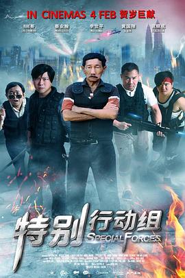 电影:特别行动组(2016)