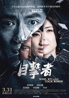 电影:目击者之追凶