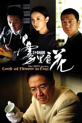电影：雾里看花