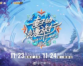 电影:妻子的浪漫旅行第六季