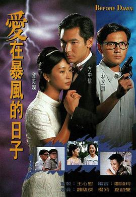 电影：爱在暴风的日子国语