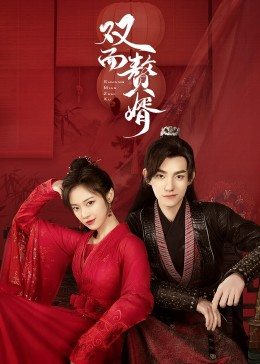 电影：双面赘婿