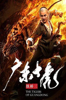 电影：广东十虎铁桥三