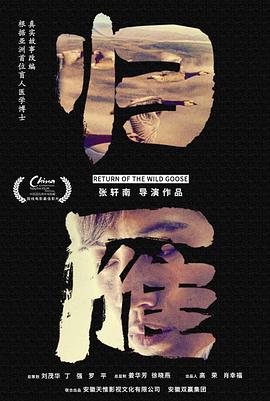 电影:归雁