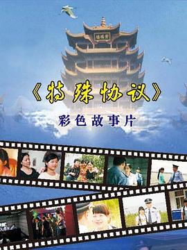 电影：特殊协议