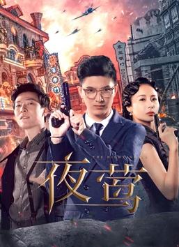 电影：夜莺[电视剧版]