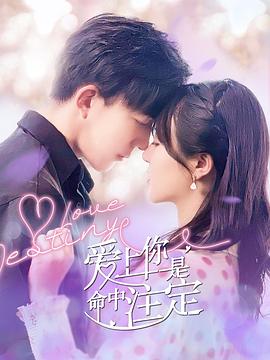电影：爱上你是命中注定
