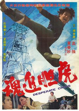 电影：虎胆追魂