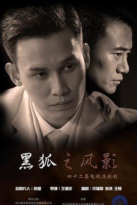 电影:黑狐之风影