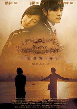 电影：不能说的秘密[电影版]