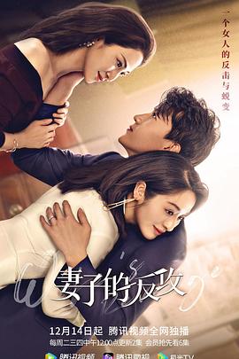 电影：妻子的反攻
