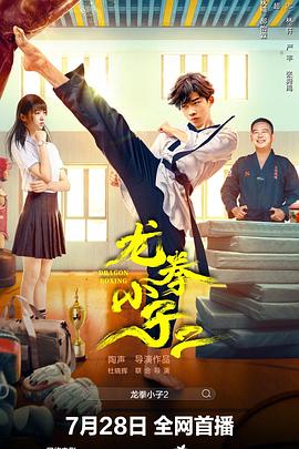 电影：龙拳小子2