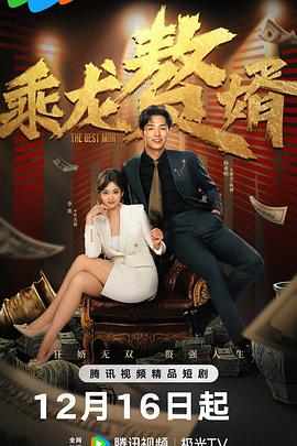 电影:乘龙赘婿